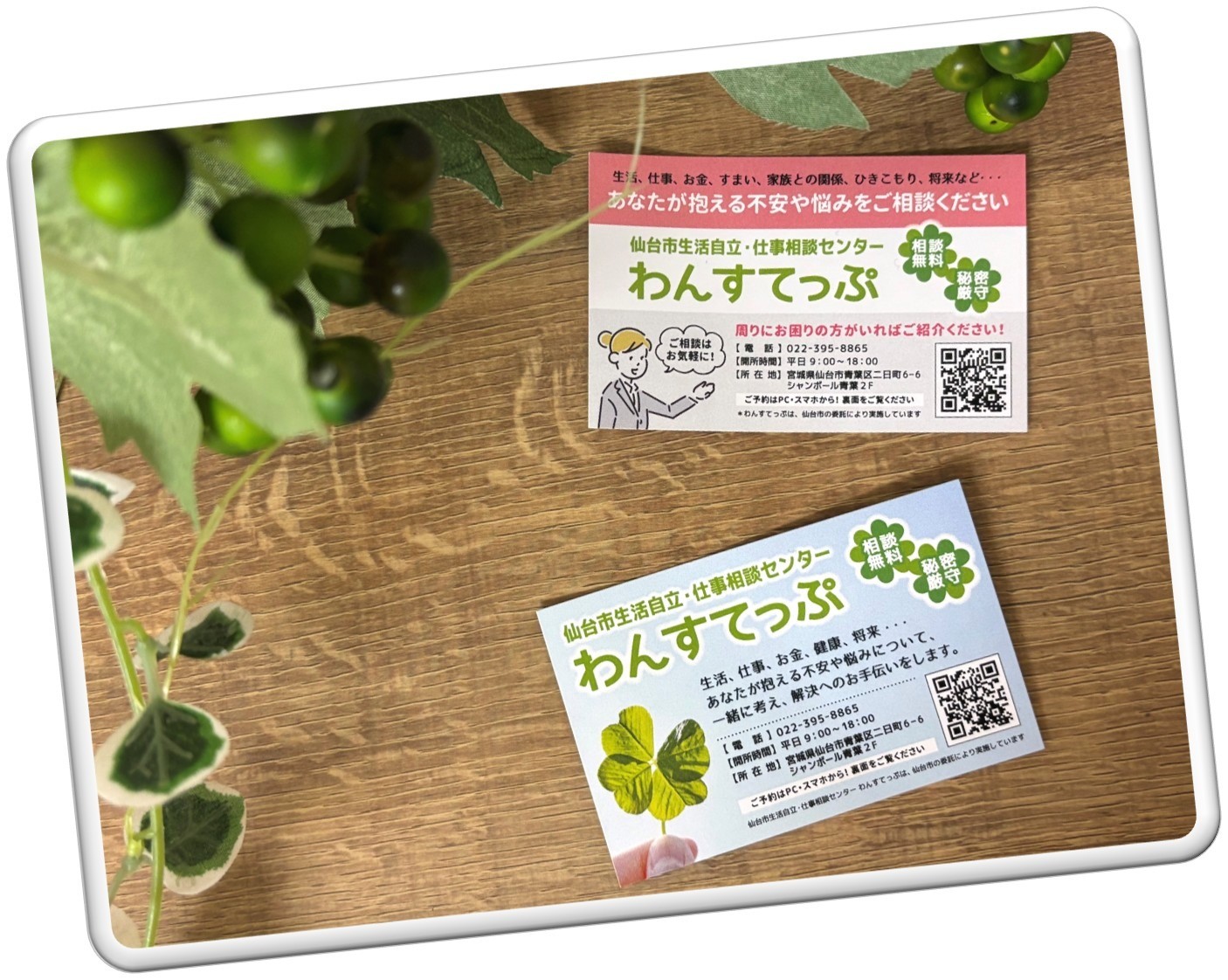 わんすてっぷカードが新しくなりました